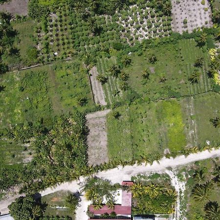 Hotel Thila Farm View Thoddoo-Atoll Exterior foto
