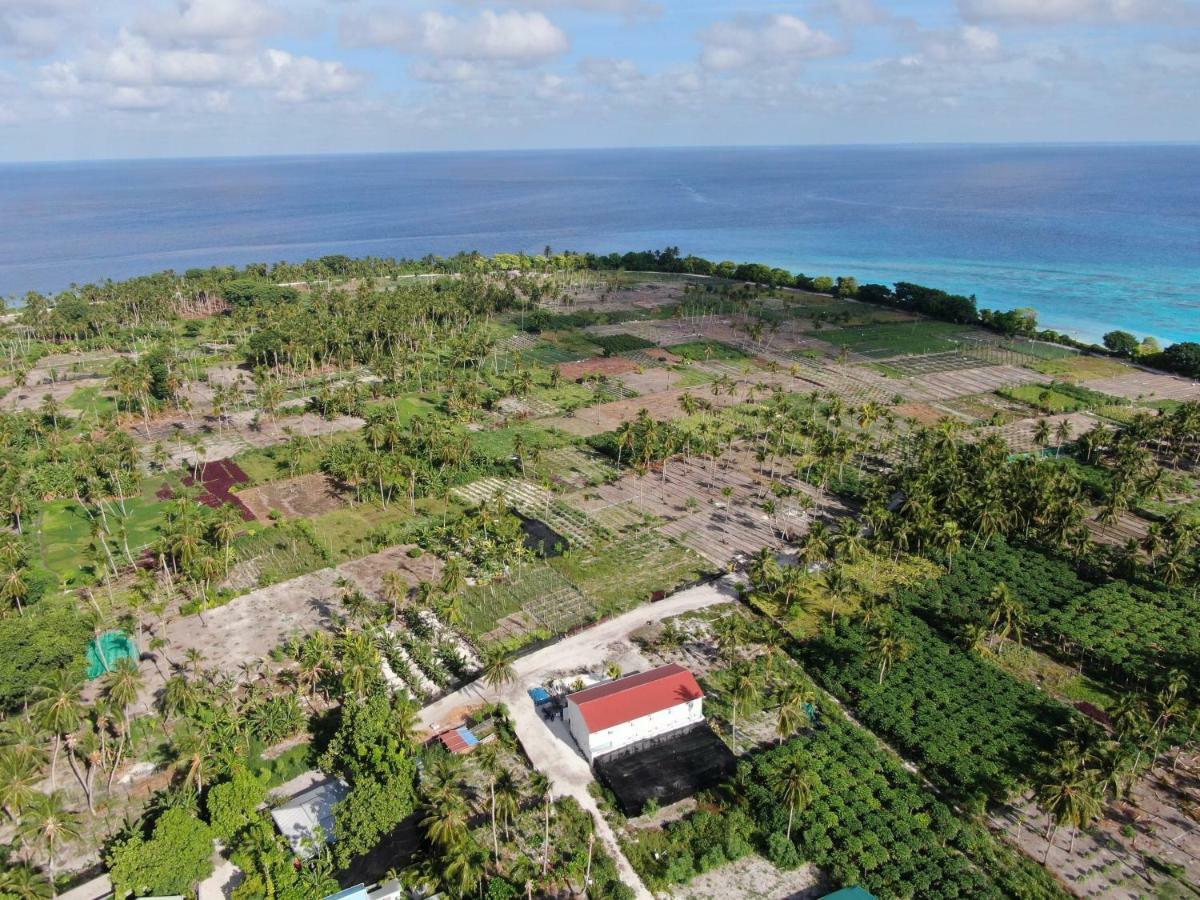 Hotel Thila Farm View Thoddoo-Atoll Exterior foto