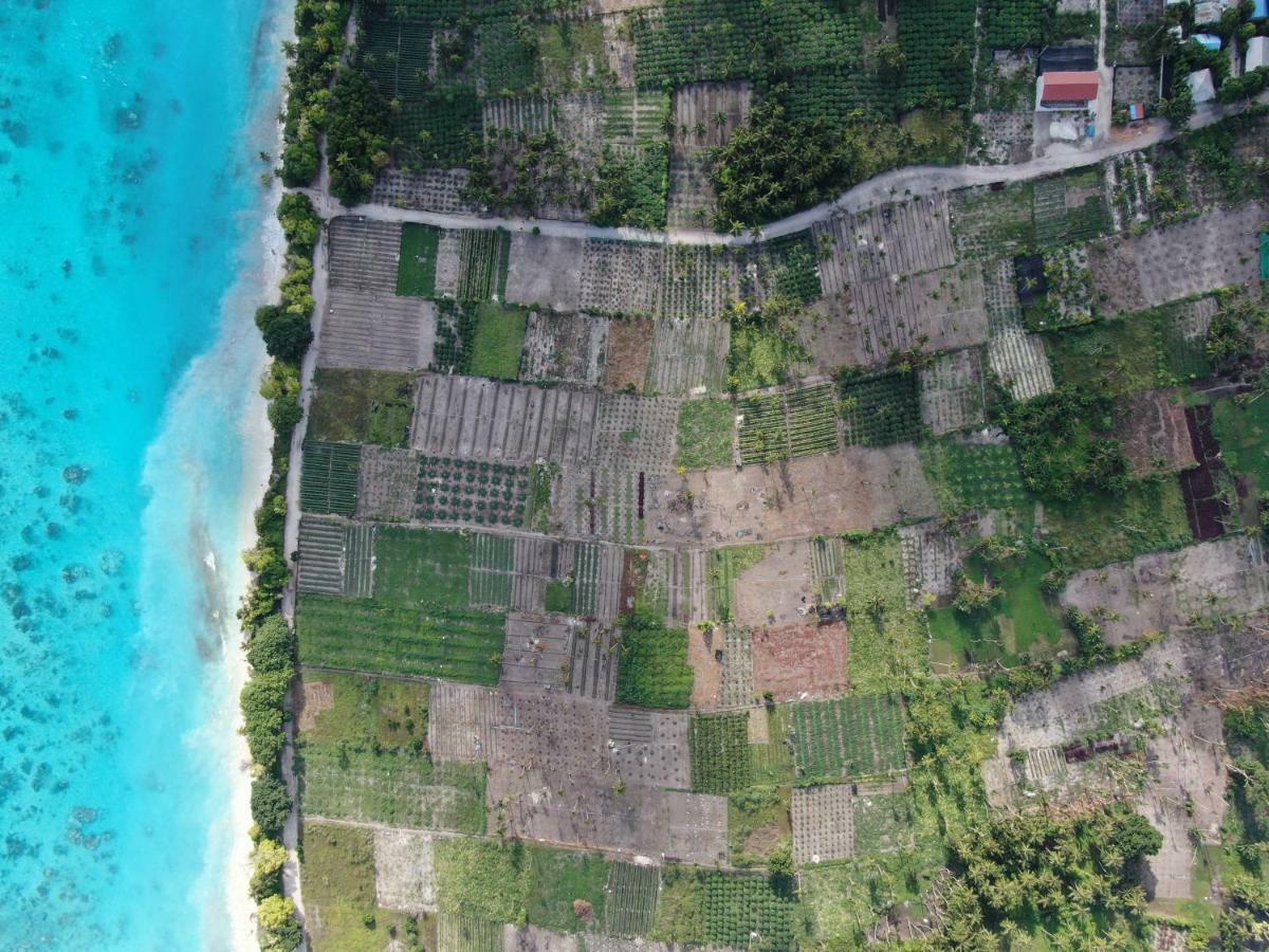 Hotel Thila Farm View Thoddoo-Atoll Exterior foto